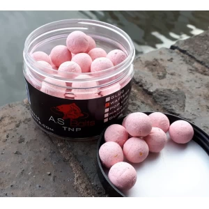 TNP WAFTERS (Tiger nut and Plum aroma)