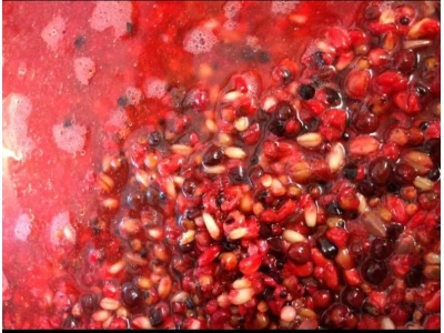 HIGH LEAKNG SPOD MIX 5KG BAGS (FREEZER)