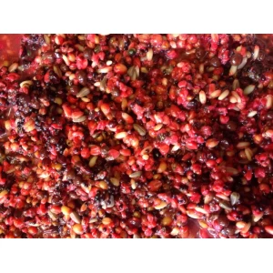 SPOD MIX HIGH LEAKING  (Freezer)