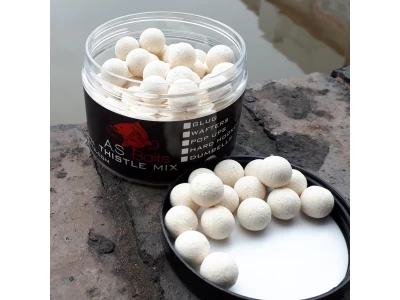 THISTLE MIX 12MM WHITE POP UPS  (Squid and Plum)