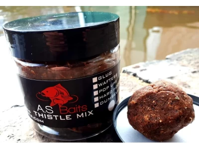 THISTLE MIX SHELF LIFE PASTE (Squid and Plum)