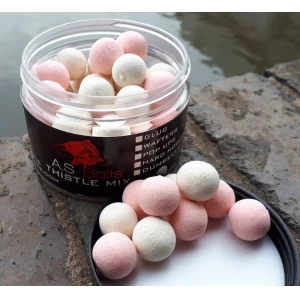 THISTLE MIX POP UPS (Squid and Plum)