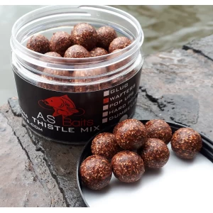 THISTLE MIX WAFTERS (Squid and Plum)