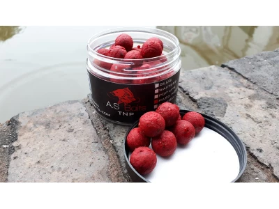 TNP HARD HOOKERS 14MM (Tiger nut and Plum)