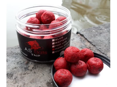 TNP HARD HOOKERS 16MM (Tiger nut and Plum)