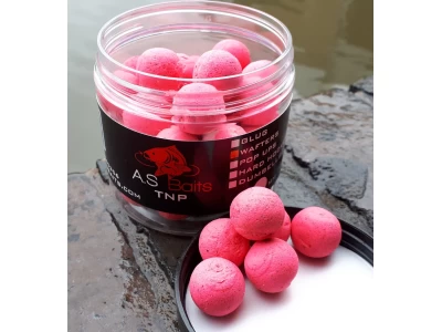 TNP Hi VIZ PINK WAFTERS 16MM (Tiger nut and Plum)