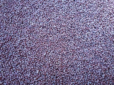 TNP PELLETS  2MM HIGH LEAKING  (Tiger nut and Plum) 1KG