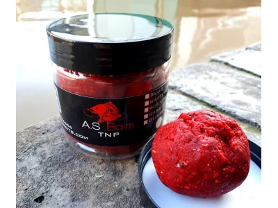 TNP SHELF LIFE PASTE (Tiger nut and Plum)